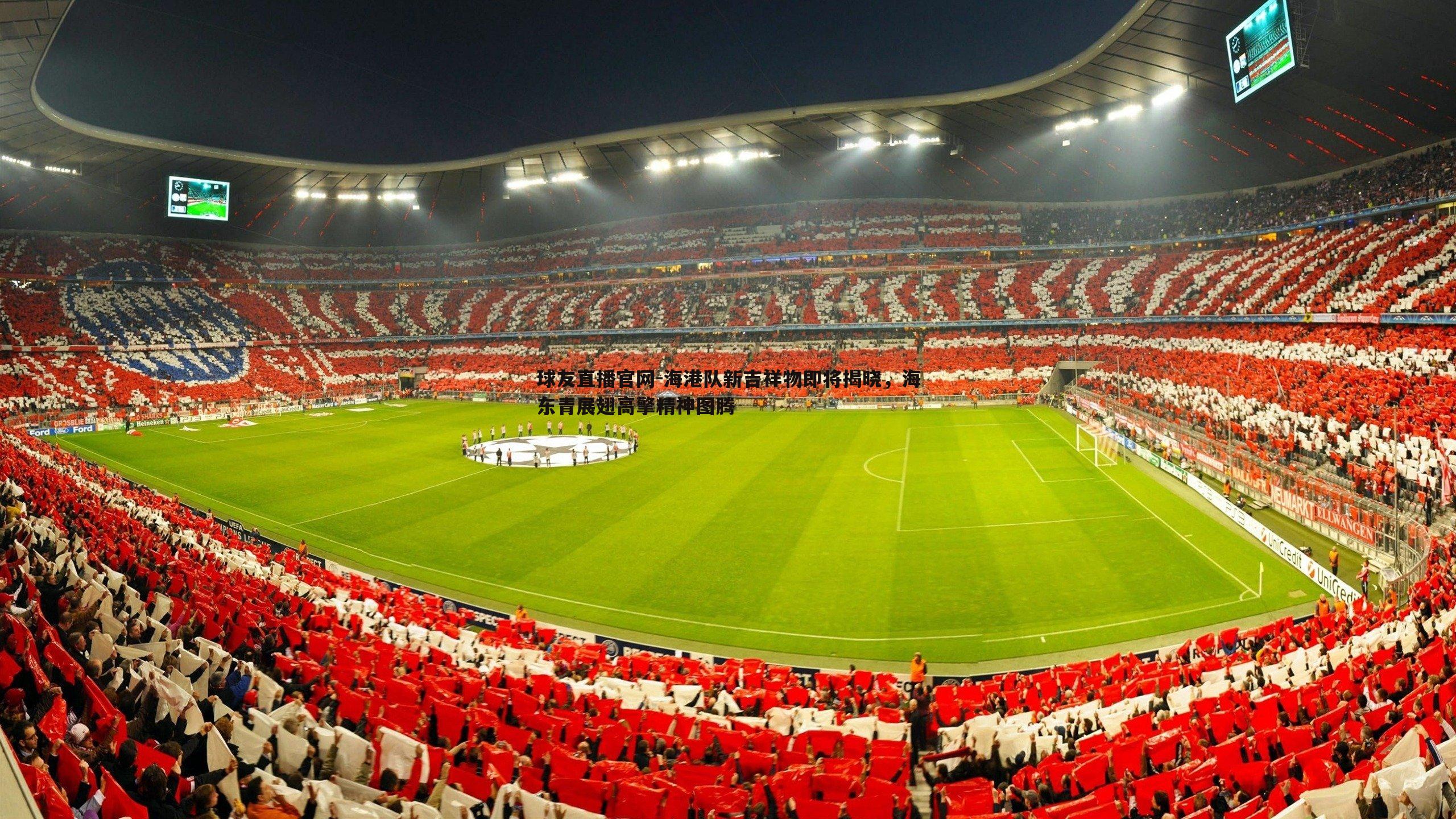 球友直播官网-海港队新吉祥物即将揭晓，海东青展翅高擎精神图腾
