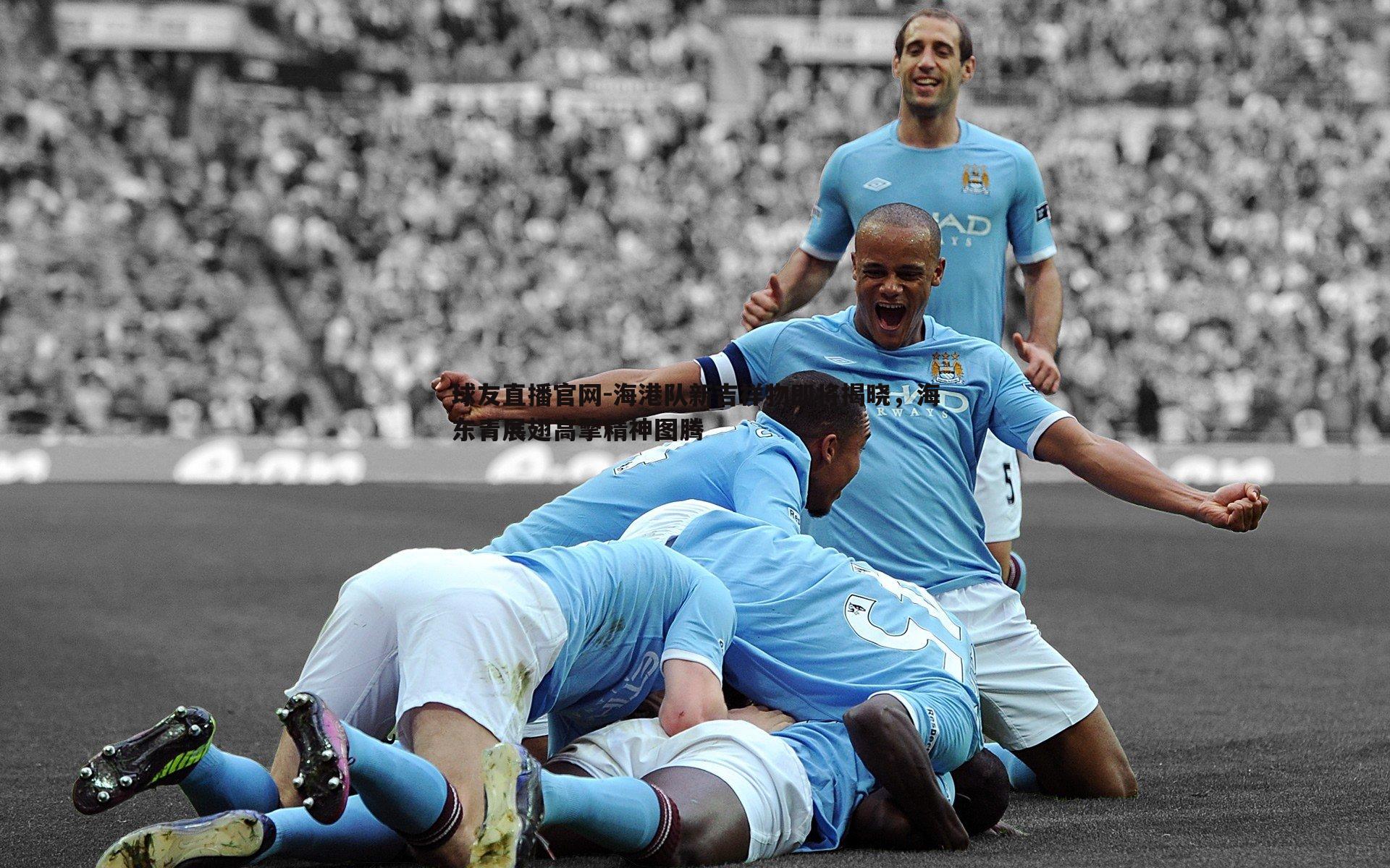 海港队新吉祥物即将揭晓，海东青展翅高擎精神图腾